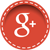Google Plus Icon